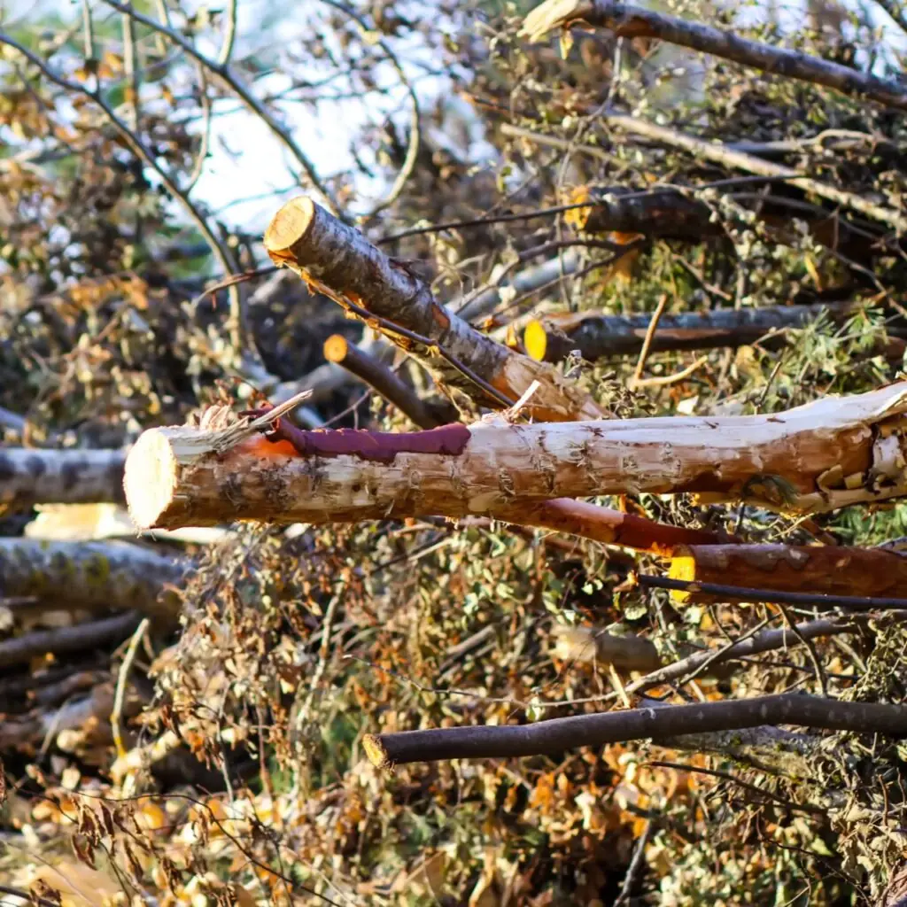 Green waste removal in Melbourne — The Junk Crew