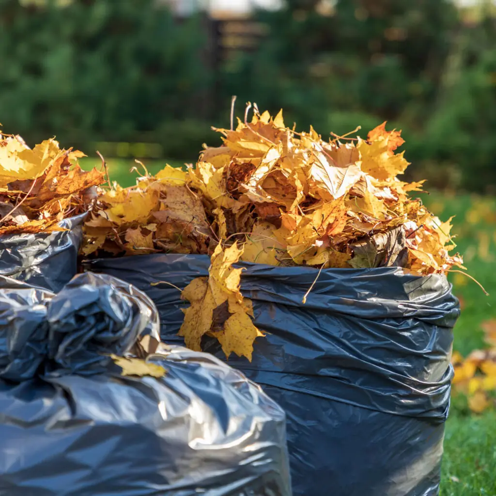 Green waste removal in Melbourne — The Junk Crew
